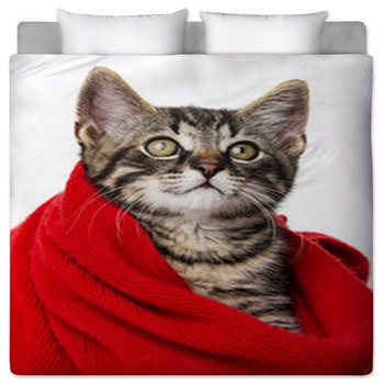 Cat Bedding