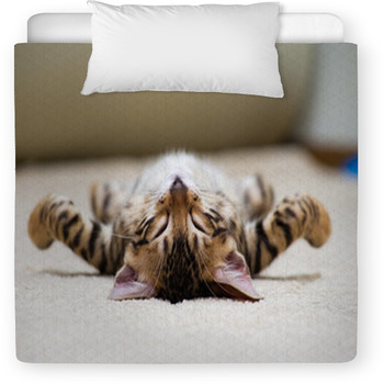 Cat Toddler Comforter