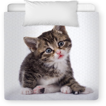 Cat Toddler Duvet