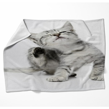 Cat02 Woven Throw Blanket