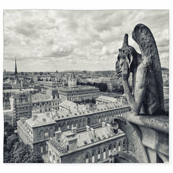 Cathedral Of Notre Dame In Paris Custom Size Floor Mat
