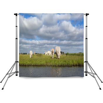 Cattle On Pasture By River Pole Pocket Backdrop
