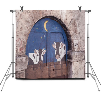 Cattleshed Painted Door In Santo Fleece Backdrop