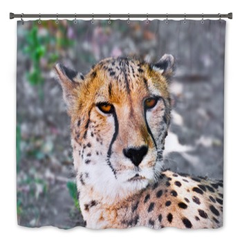 Cheetah Bath Decor