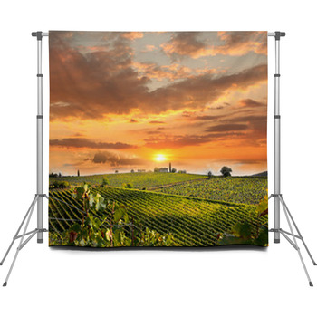 Chianti, Famous Vineyard In Italy Custom Size Backdrop