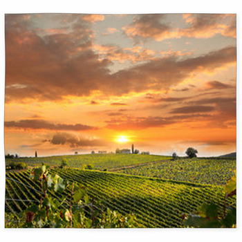 Chianti, Famous Vineyard In Italy Custom Size Floor Mat