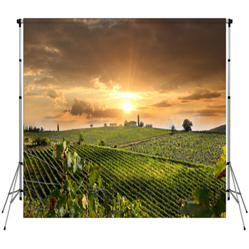 Chianti Vineyard Landscape In Tuscany, Fleece Backdrop