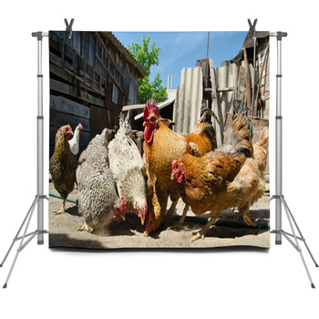 Chicken On A Farm Fleece Backdrop