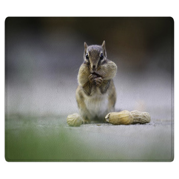 Chipmunk Bath Mat