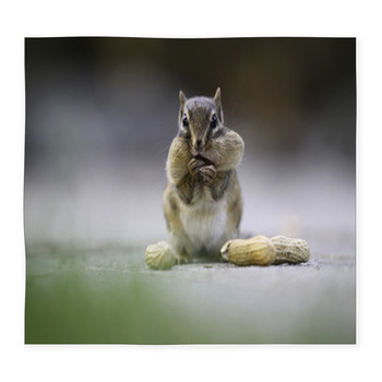Chipmunk Custom Size Floor Mat