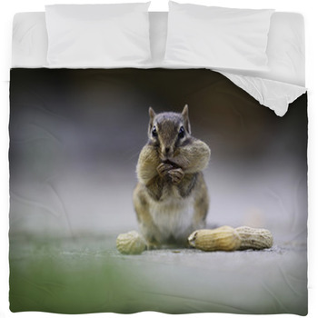 Chipmunk Fleece Bed Blanket