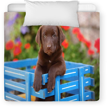 Chocolate Labrador Retriever In Wagon Toddler Comforter