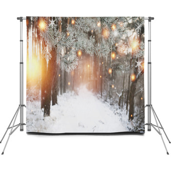 Christmas Background Winter Forest  Custom Size Backdrop