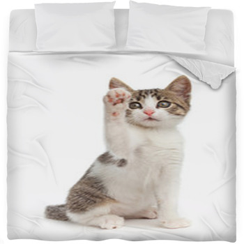 Ciao Fleece Bed Blanket