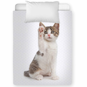 Ciao Toddler Comforter