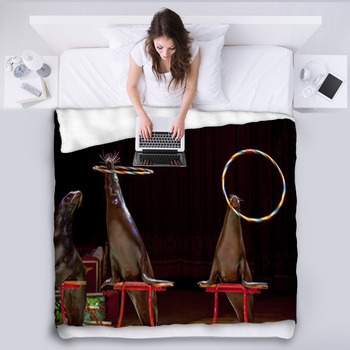 Circus Seal While Playing On The Black Fleece Blanket