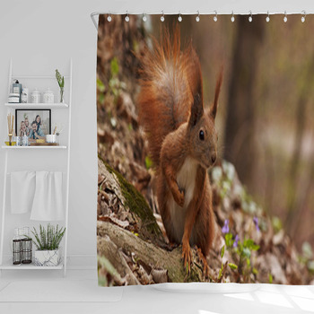 Close Up Of Squirrel In Forest Shower Curtain