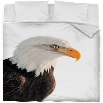 Close Up Portrait Of A Bald Eagle Fleece Bed Blanket