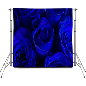 Close Up View Of Royal Blue Roses Custom Size Backdrop
