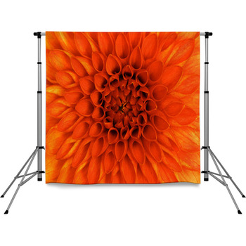 Closeup Flower Pole Pocket Backdrop