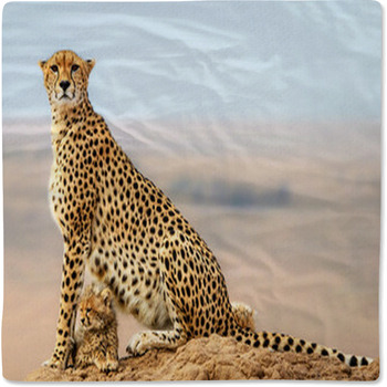 Cheetah Baby Blankets Toddler Bedding Personalized
