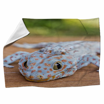 Closeup Of Gecko On The Wood Wall Fleece Blanket