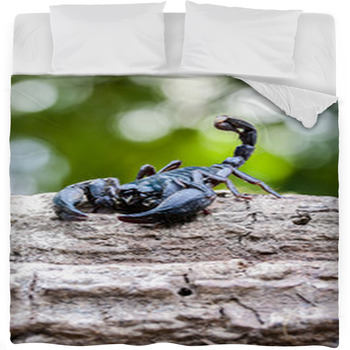 Closeup View Of A Scorpion In Nature. Fleece Bed Blanket