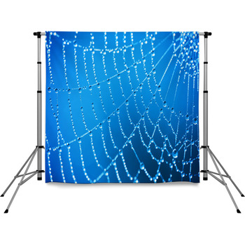 Cobweb With Dew Drops Pole Pocket Backdrop