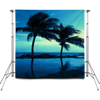 Coconut Tree Silhouette On The Custom Size Backdrop