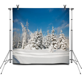 Cold Snowy Winter In The Forest Fleece Backdrop
