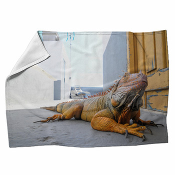Colored Young Male Iguana Fleece Blanket