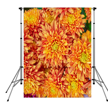 Colorful Chrysanthemums Floral  Pole Pocket Backdrop