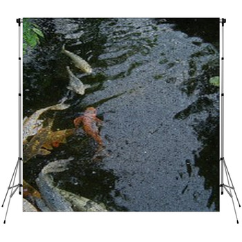 Colorful Fish Custom Size Backdrop