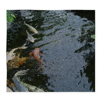 Colorful Fish Custom Size Floor Mat
