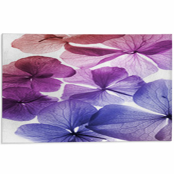Colorful Flowers Closeup Area Rug