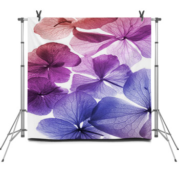 Colorful Flowers Closeup Fleece Backdrop