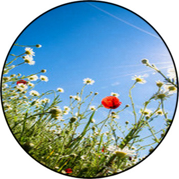 Colorful Flowers Round Rug