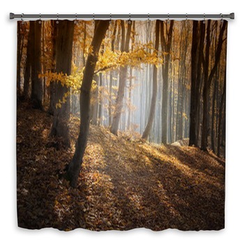 Colorful Forest In Autumn Custom Size Shower Curtain