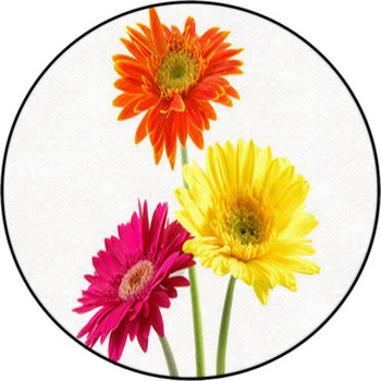 Colorful Gerber Daisies Round Rug