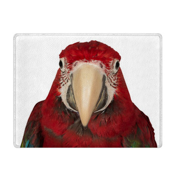 Colorful Macaw Isolated On The White Background Bath Mat