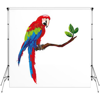 Colorful Parrot Fleece Backdrop