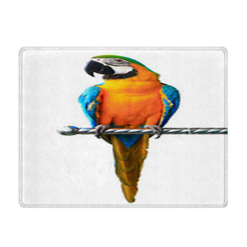Colorful Red Parrot Macaw Isolated On White Bath Mat