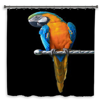 Colorful Red Parrot Macaw Isolated On Shower Curtain