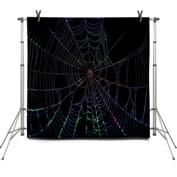 Colorful Spider Web Fleece Backdrop