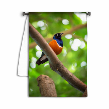 Colorful Superb Starling Towel