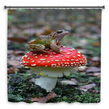 Common Frog Rana Temporaria Shower Curtain
