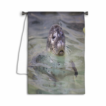 Common Seal, Phoca Vitulina, From The Water Towel