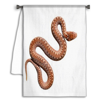 Common Viper Snake Isolated On White Towel