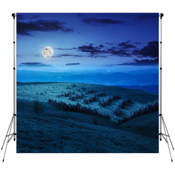 Coniferous Forest On A  Mountain Slope Fleece Backdrop