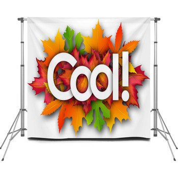 Cool Word And Autumn Leaves Custom Size Backdrop
